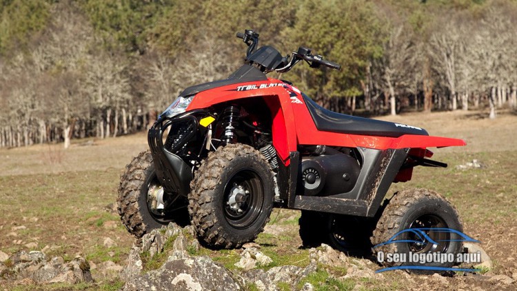 Polaris Trail Blazer 330